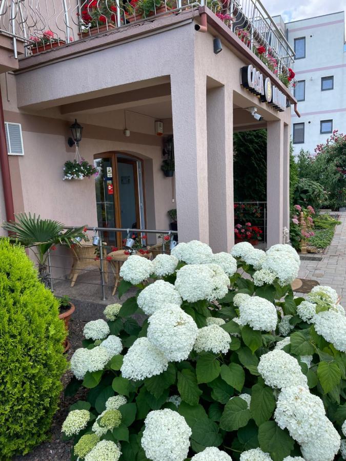 Ametist Casa Leului Otel Navodari Dış mekan fotoğraf