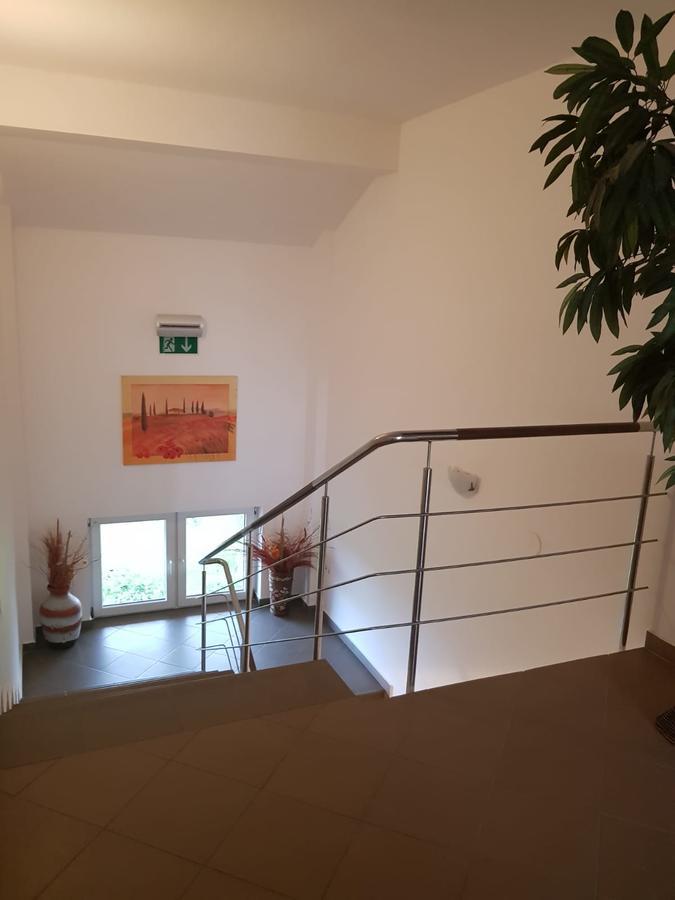 Ametist Casa Leului Otel Navodari Dış mekan fotoğraf